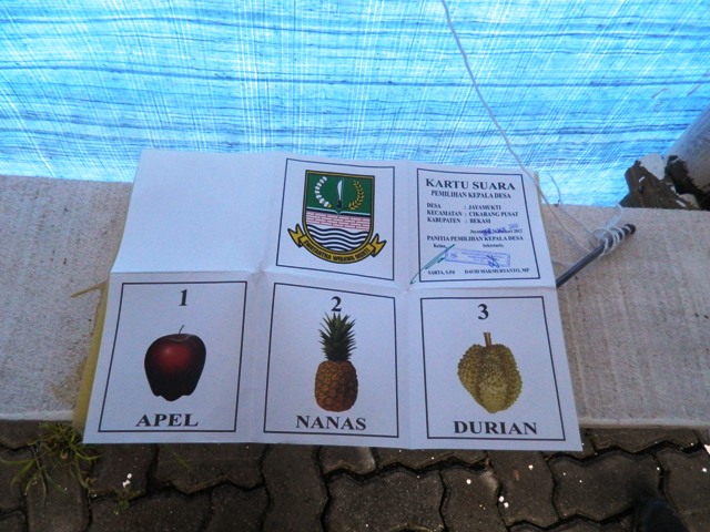 DSCN3401